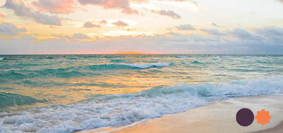 Image of Floriday beach